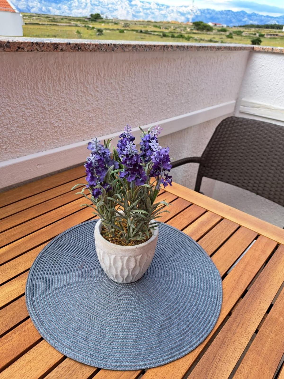 Apartment Marina - A7 Povljana