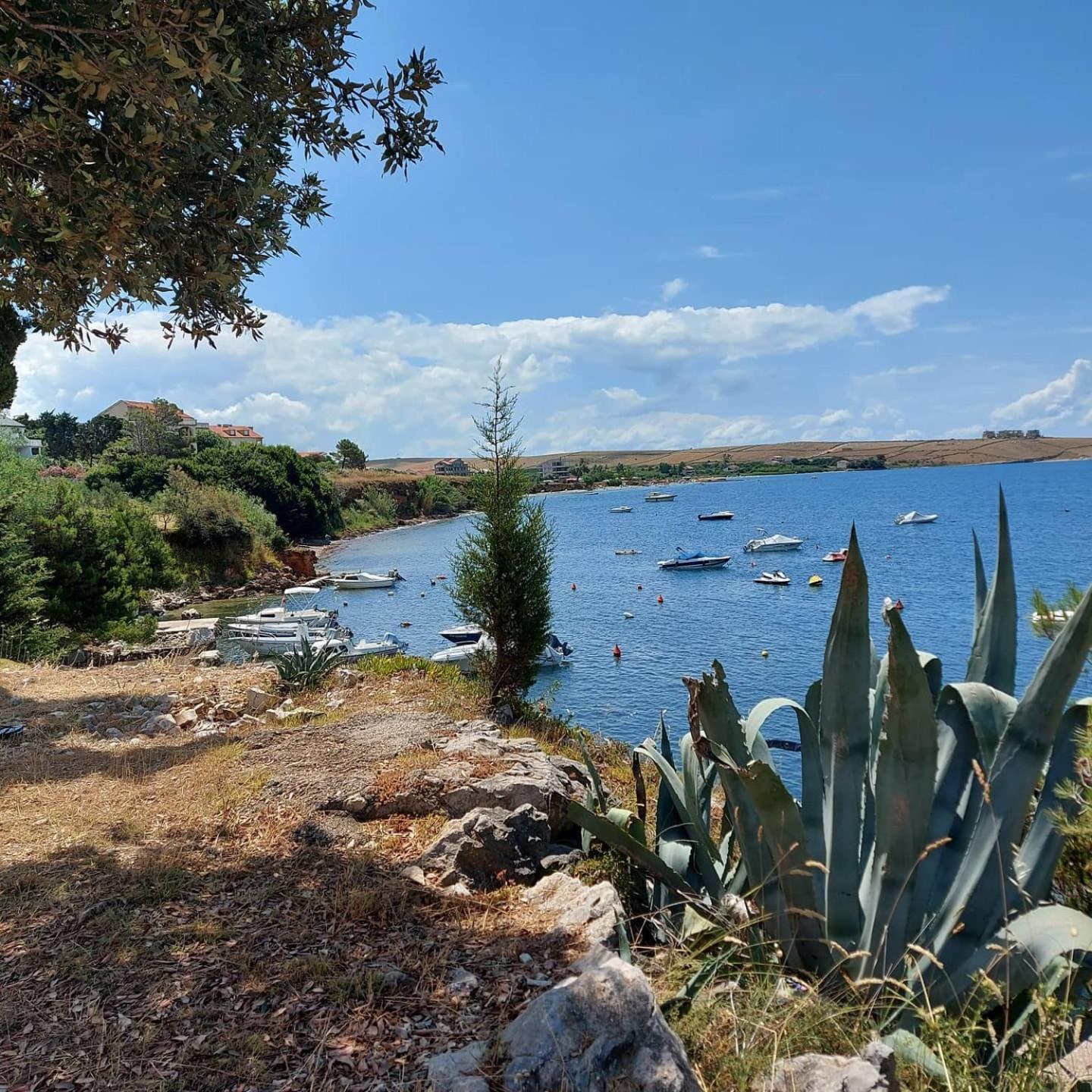 Apartamento Marina - A7 *